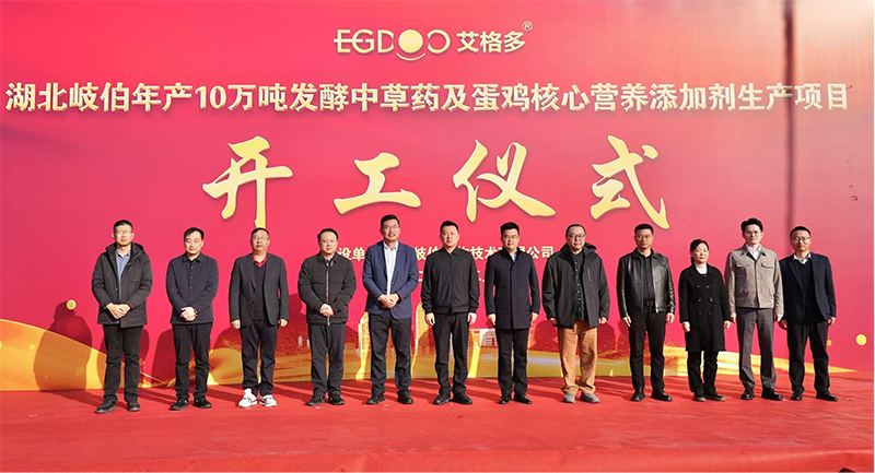 全國布局、賦能南方蛋雞產業高質量發展——艾格多集團湖北荊州基地項目正式開工